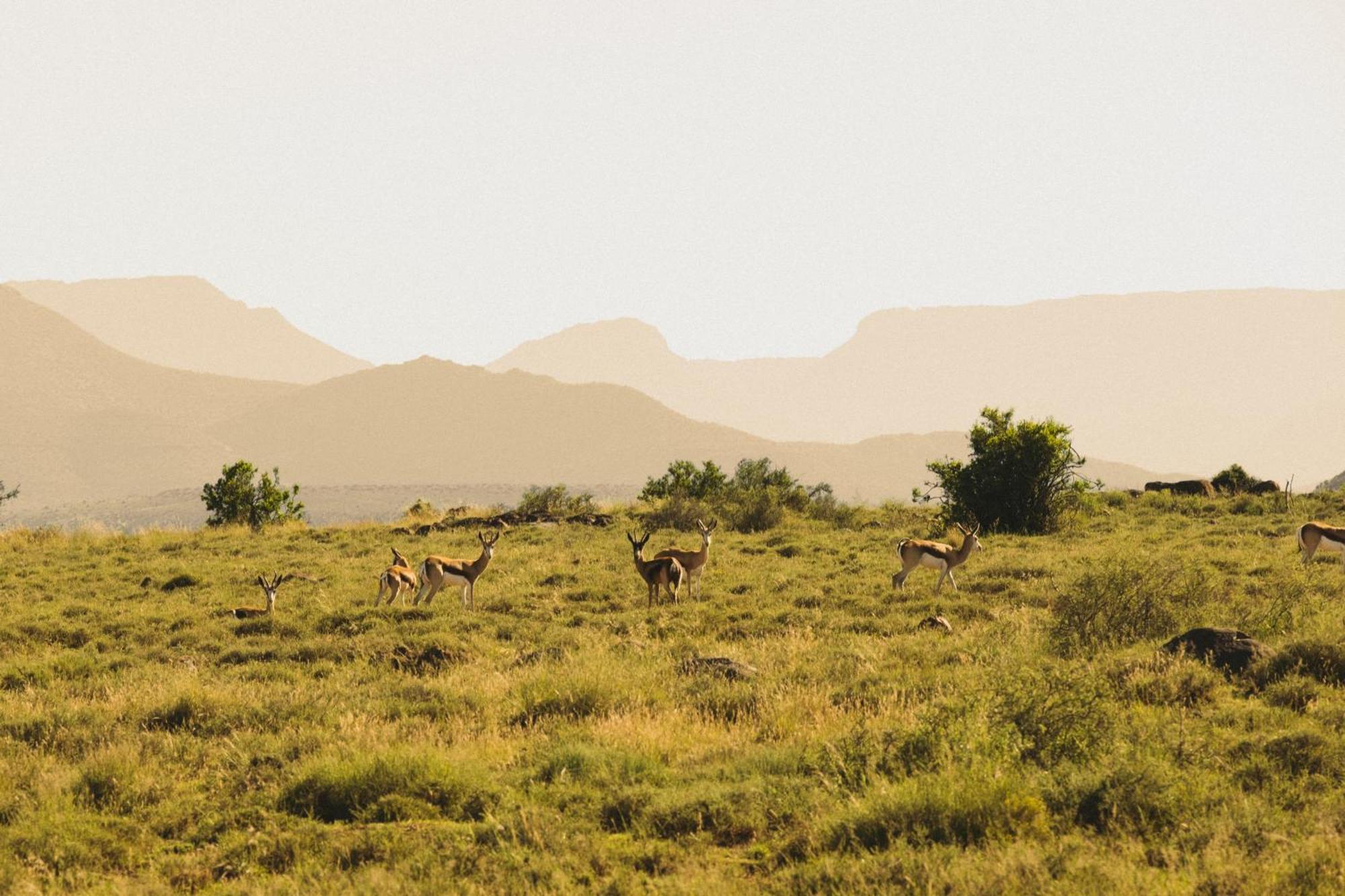 Buccara Wildlife Reserve Graaff-Reinet Exterior foto